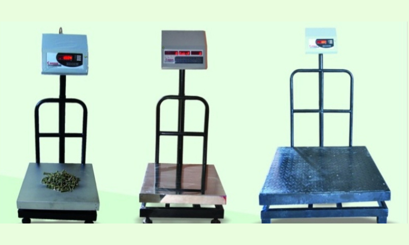 Heavy-Duty Platform Weighing Scale by Prachi Enterprises