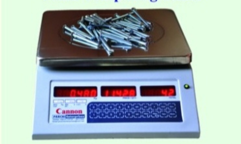 Weighing Cum Piece Counting Scale by Prachi Enterprises